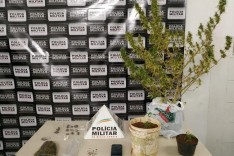 Denúncia de tráfico em campo de futebol resulta em apreensão de drogas